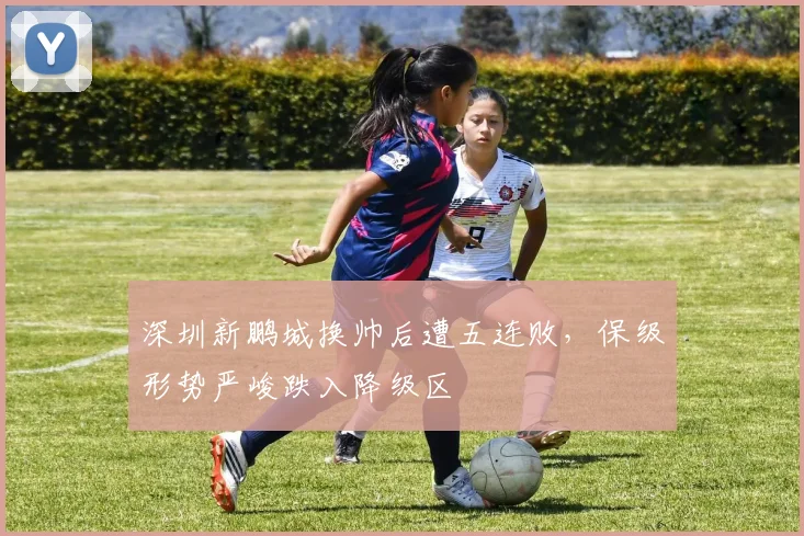 深圳新鹏城换帅后遭五连败，保级形势严峻跌入降级区